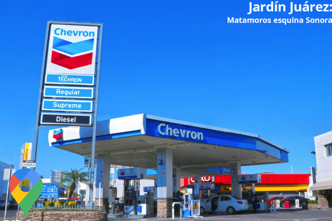 chevron jardin juarez