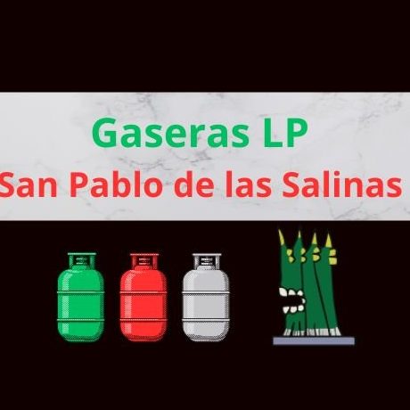 Gasolineras en San Pablo de las Salinas, Mexico: Ubicaciones, Precios y Servicios 1 gasolineras en san pablo de las salinas mexico ubicaciones precios y servicios