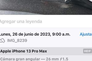 Gasoservicio Express Patria