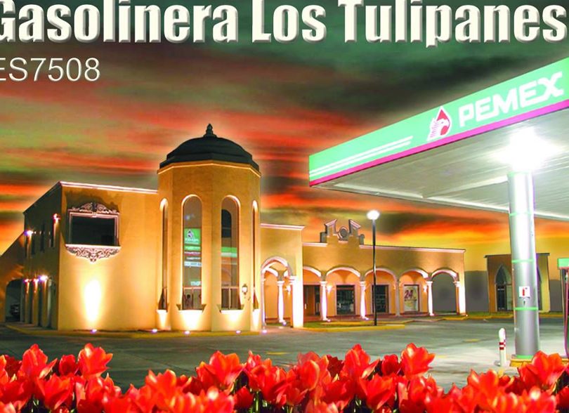 pemex tulipanes