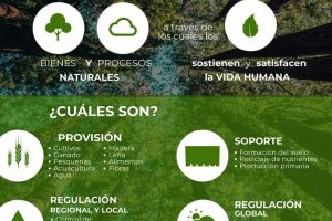 Servicio Ecologico de México 7 Servicio Ecologico de México