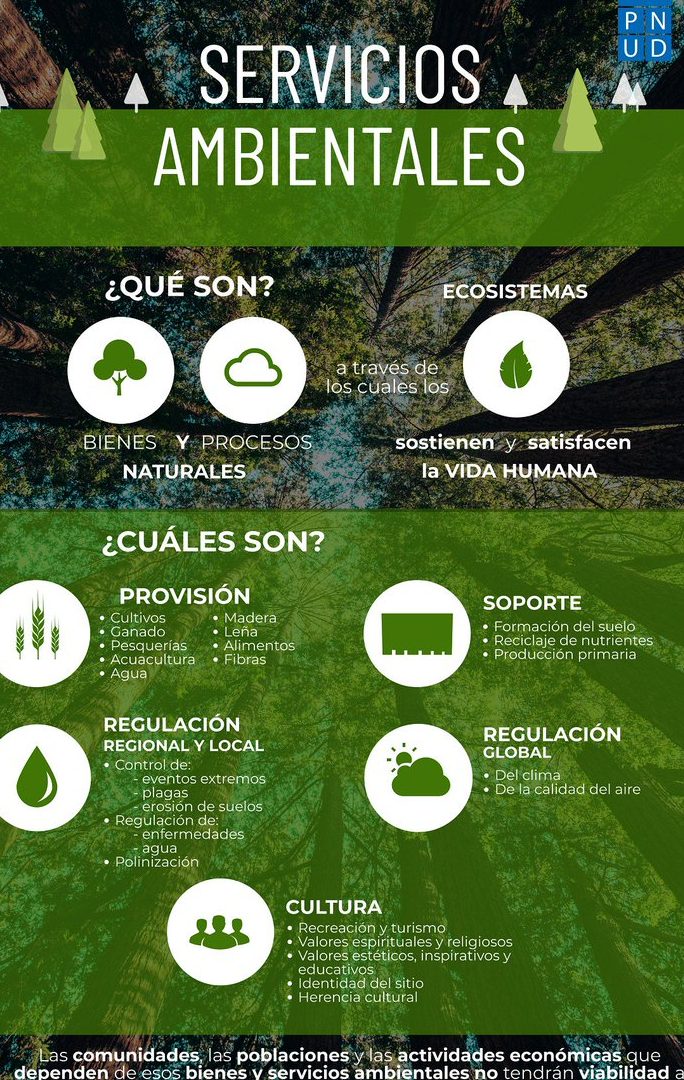 Servicio Ecologico de México 1 servicio ecologico de